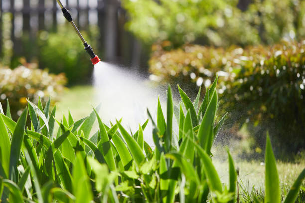 24/7 Emergency Termite Control experts in Landrum, SC
