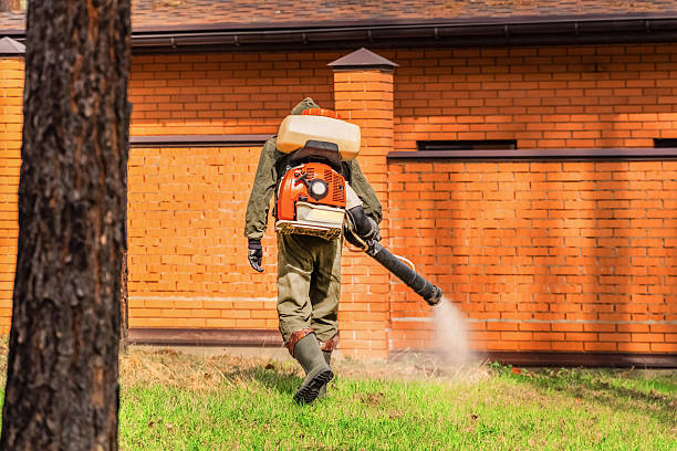 Top rated local Termite Control specialists in Landrum, SC